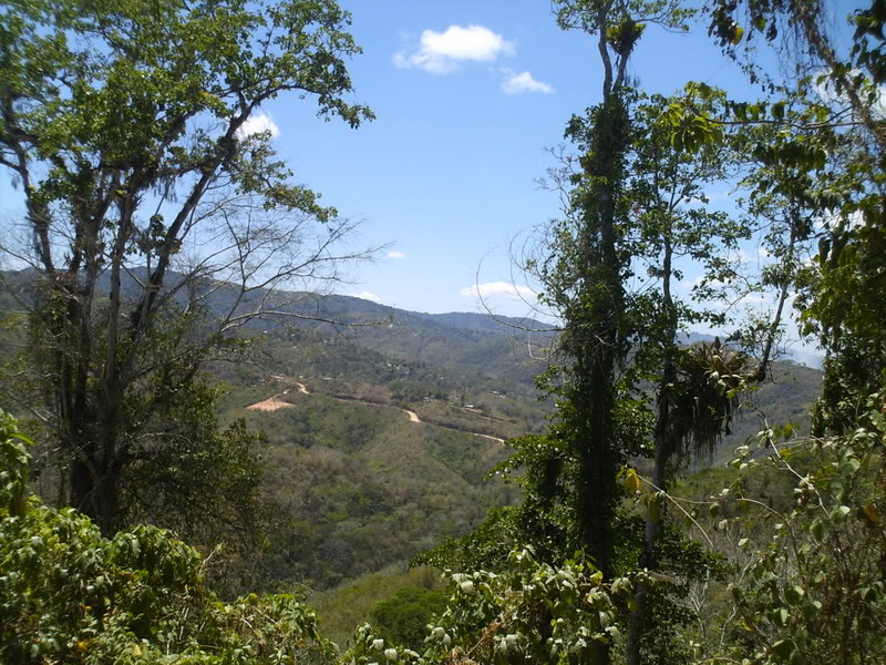 lomaysabacual067.jpg