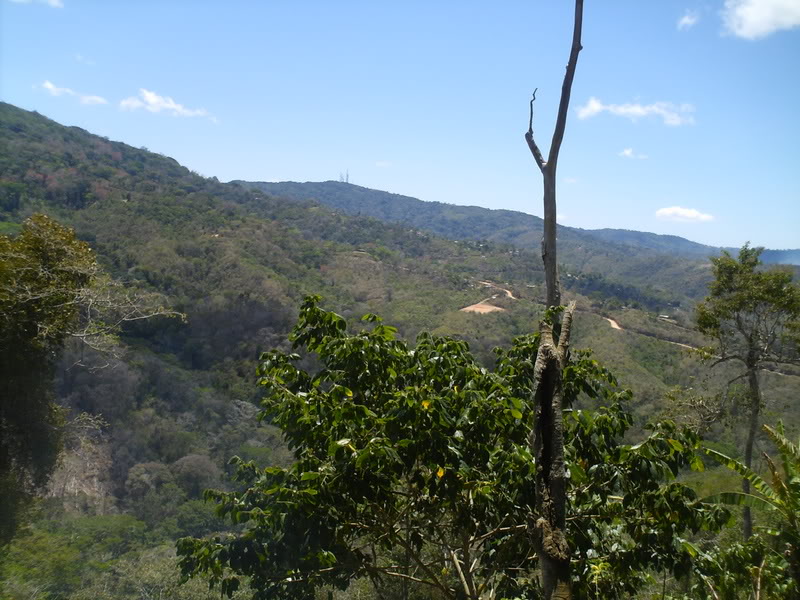 lomaysabacual068.jpg