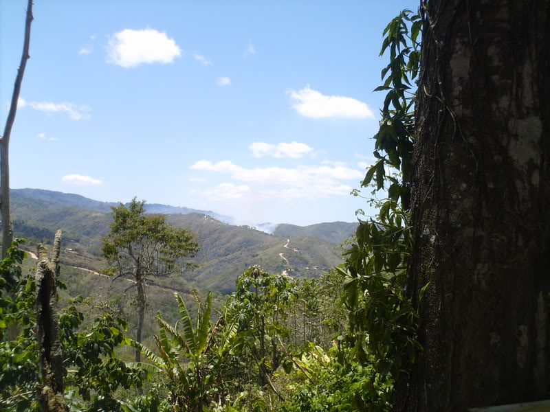 lomaysabacual069.jpg