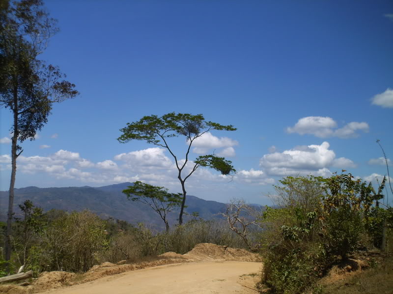 lomaysabacual070.jpg