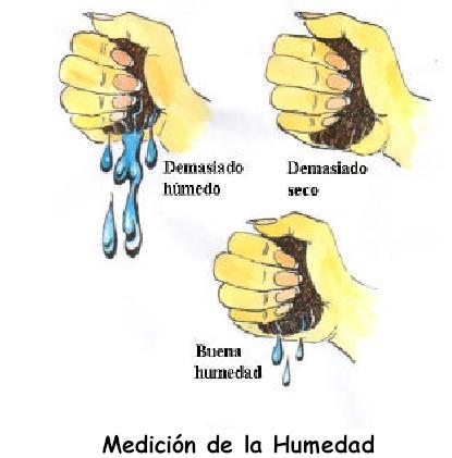 lombriculturamedicionde.jpg