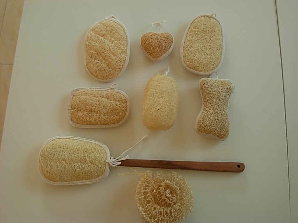 Loofah_Luffa_Bath_Sponge.jpg