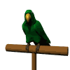 loro.gif