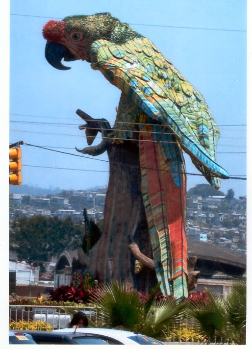 Loro_PapaGallo_Guayaquil_2.jpg