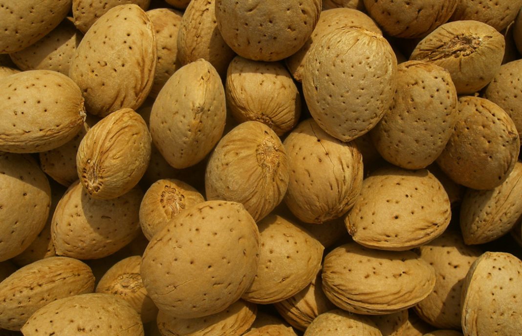 LOS-PRECIOS-DE-LA-ALMENDRA-1068x688.jpg