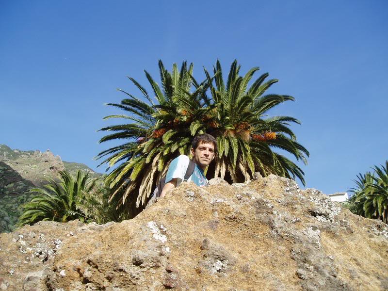 LosArbolitosAbicor3112008fotoI_redi.jpg
