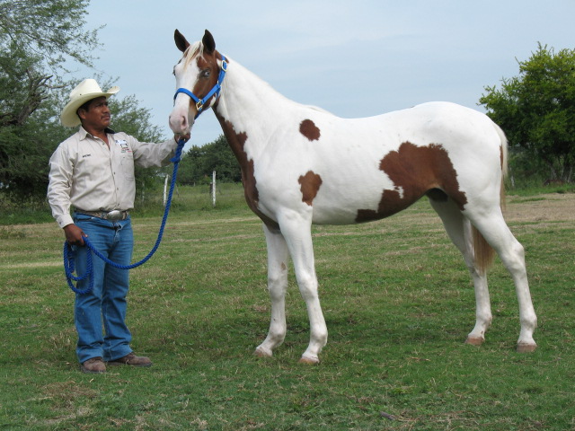 lOTE%2042%20LA%20CARETA%20FN%20(2).JPG