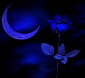 LUA-Y-ROSA-AZULES-100.jpg