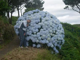 luarca%20112.jpg