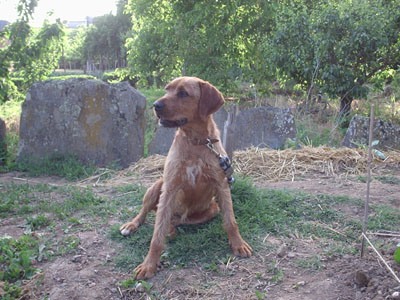 luci1.jpg