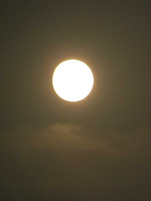 luna010907.jpg
