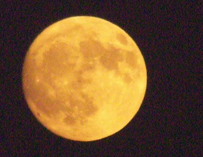 luna070728.jpg