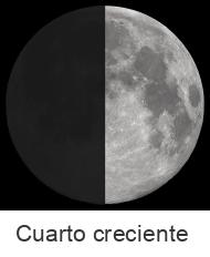 luna_th_-0_5.jpg