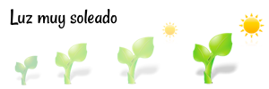 Luz_muy_soleado.png