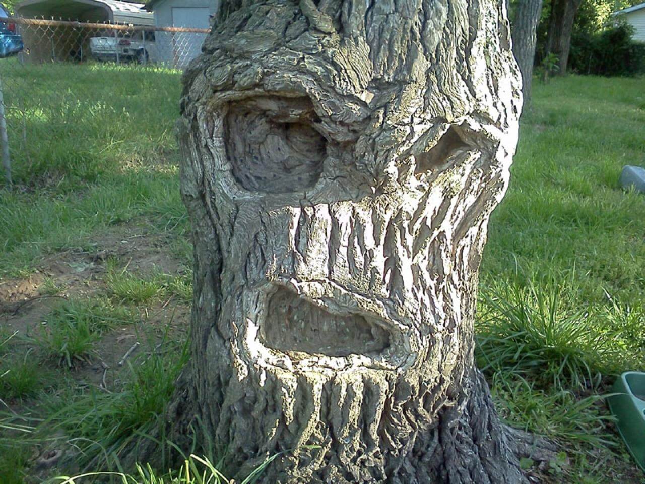 LVIODUOOF2FDQVBZO6KJDH4FIY.jpg
