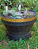 LZC1739_TYRE_PLANTER_WITH_COPPER_SLUG_RING_.jpg