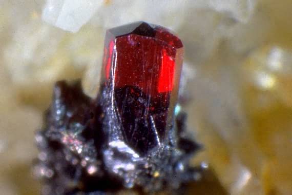 m09061.jpg