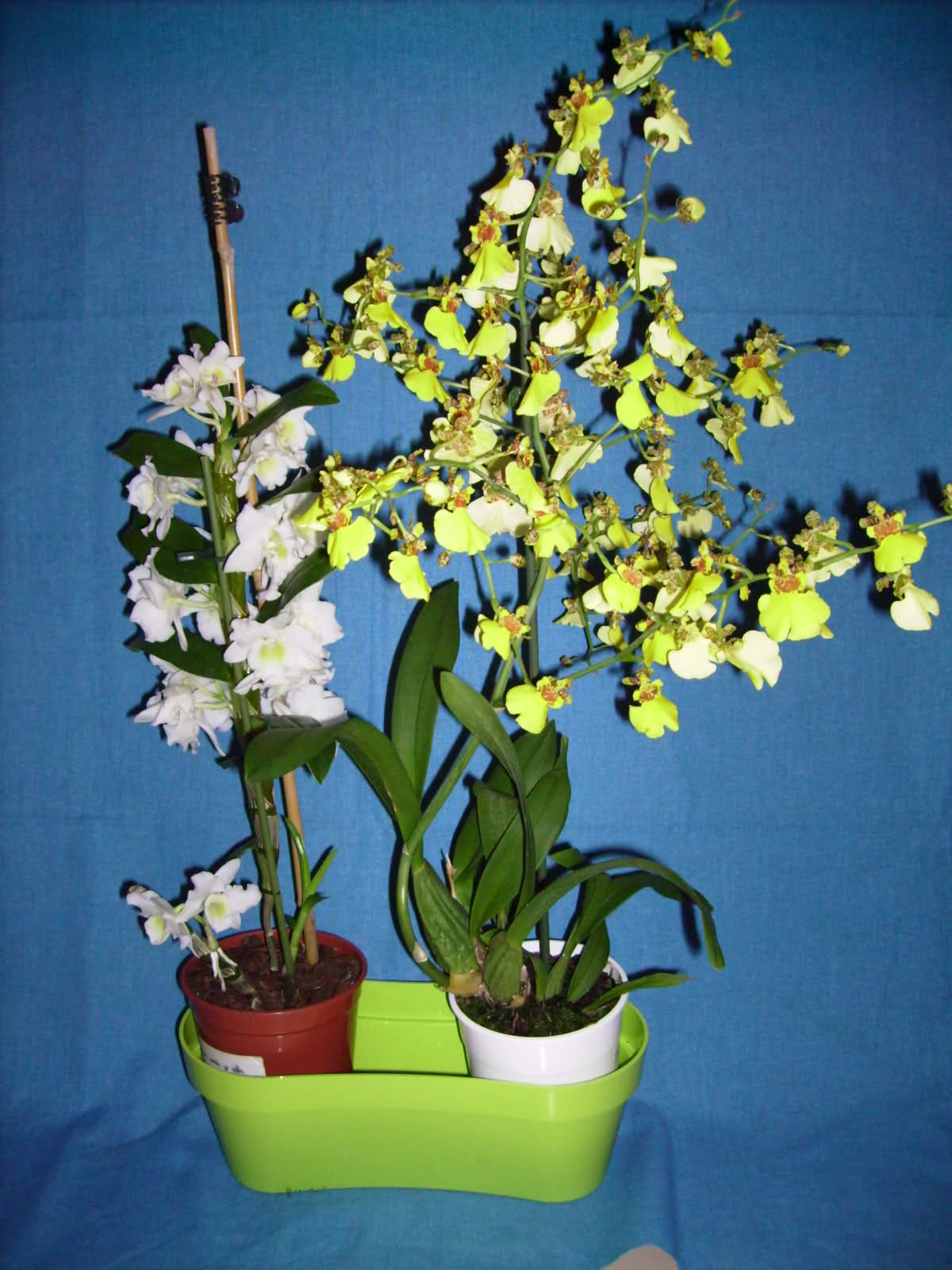m99i04.jpg