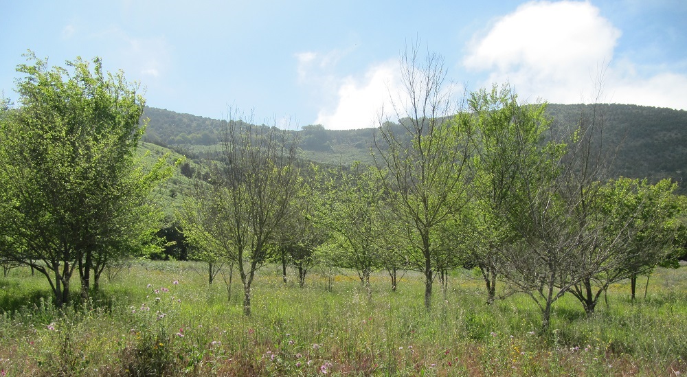 m9tyma.jpg