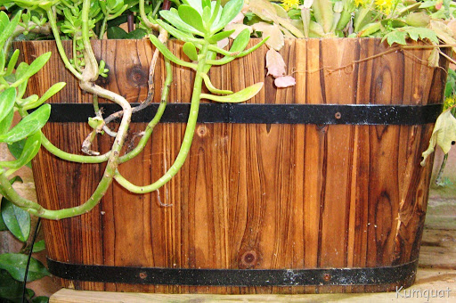 maceta%20madera%5B20%5D.jpg