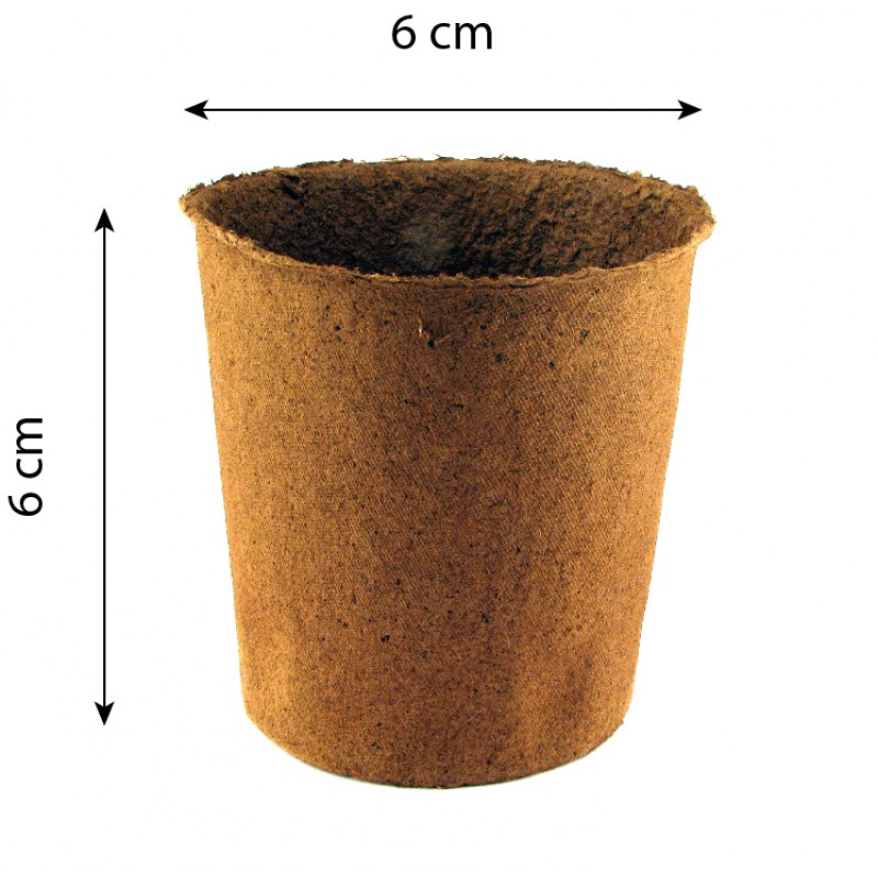 maceta-biodegradable-fertilpot-redonda-6x6-3000-unidades-3040403___918038310161022.jpg