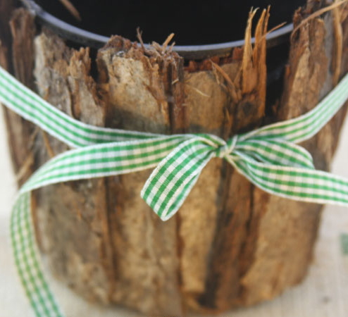 maceta-corteza-arbol.jpg