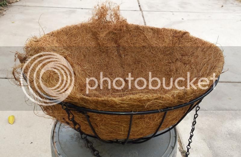 maceta1_zps86741648.jpg