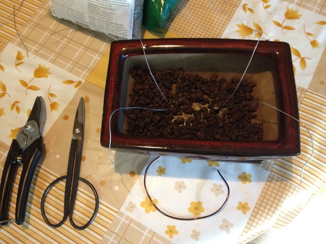 maceta_preparaci_n.jpg