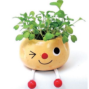 Maceteros-de-patata-300x300.jpg
