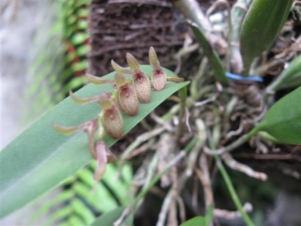 macro-1.jpg