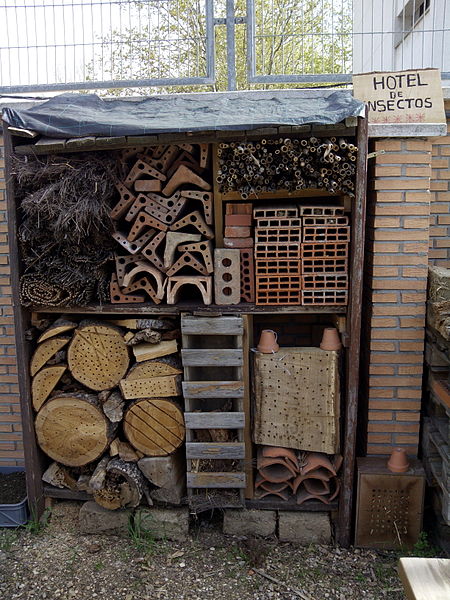 madera_incubadora%2C_frente%2C_Centro_de_Educaci%C3%B3n_Ambiental_de_El_Retiro%2C_Madrid%2C_2015.jpg