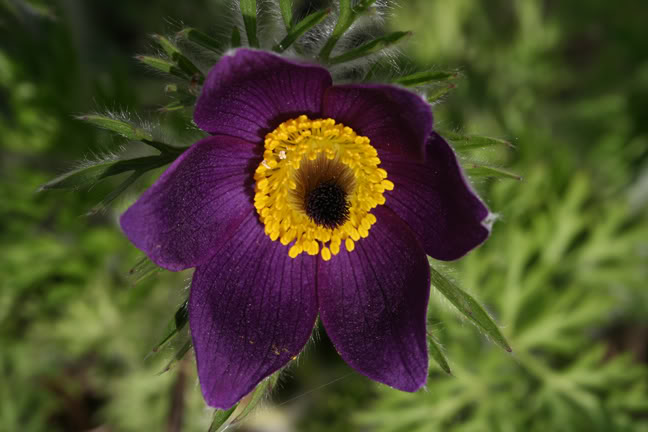 Mai190700-2010062.jpg
