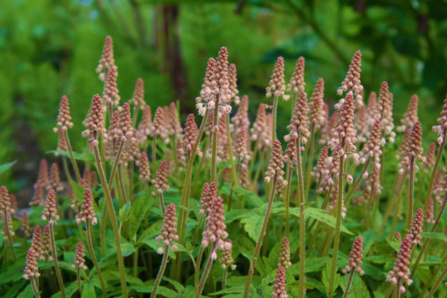 Mai2011-05-12_505.jpg