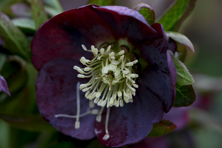 Mai2013-05229994_zpsfcd61139.jpg