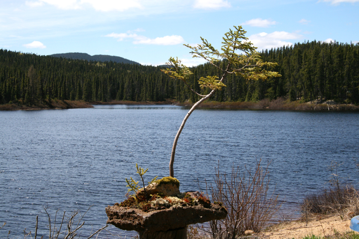 Mai2013-05250031_zpsec077e59.jpg