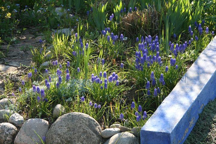 Mai2013-05290037_zpsc2532067.jpg