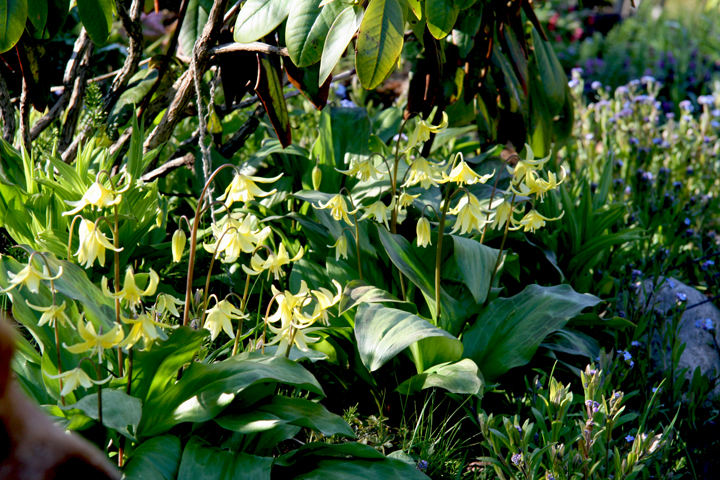 Mai2013-05290040_zpsa23d6b77.jpg