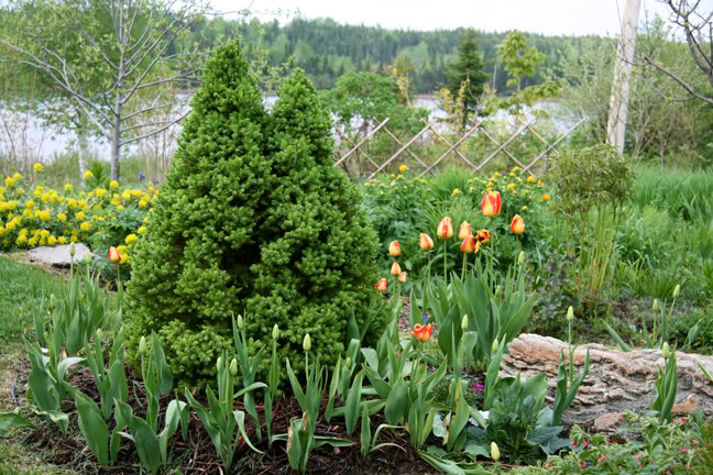 Mai261700-2010058.jpg