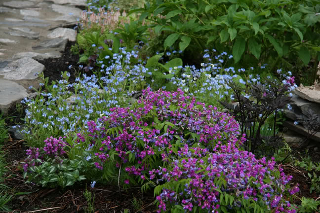 Mai261700-2010071.jpg