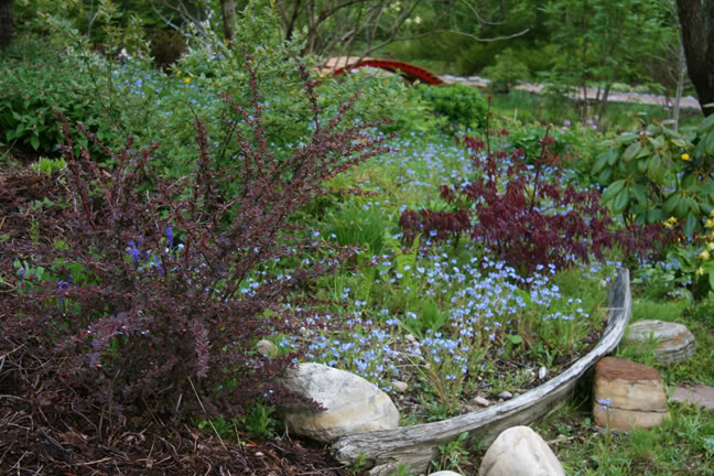 Mai261700-2010073.jpg