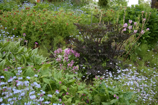 Mai261700-2010075.jpg