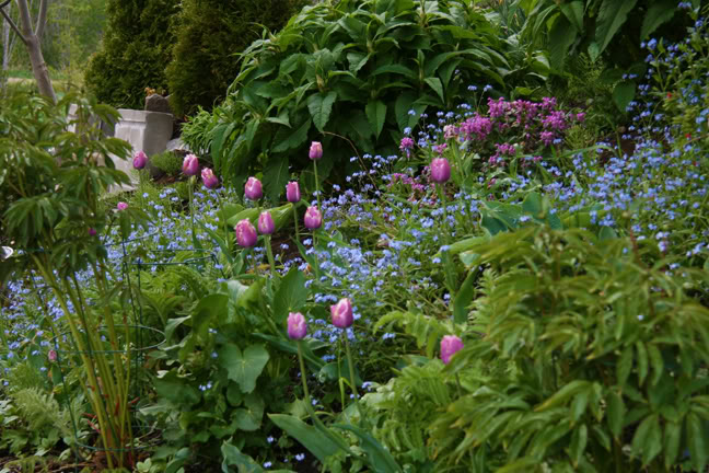 Mai261700-2010083.jpg