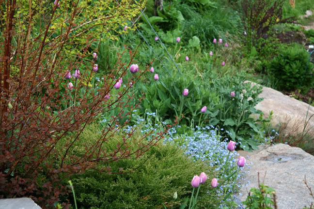 Mai261700-2010091.jpg
