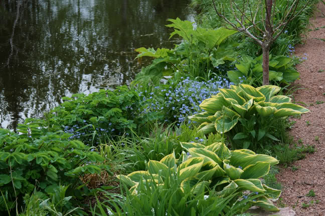 Mai261700-2010094.jpg