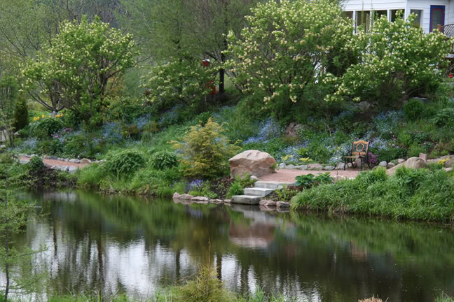 Mai261700-2010095.jpg