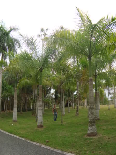 mal3b8.jpg
