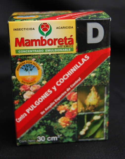 MAMBORETA-D.jpg