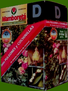 mamboreta_d.jpg