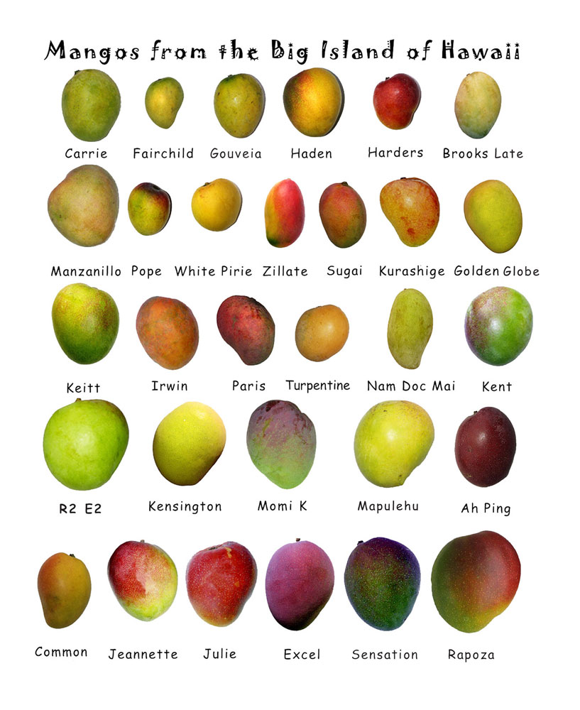 mango.jpg