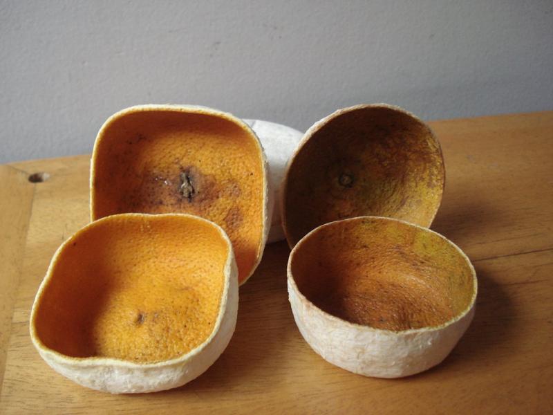 Manualidades%20para%20el%20hogar%20con%20piel%20de%20naranja%20-1.jpg